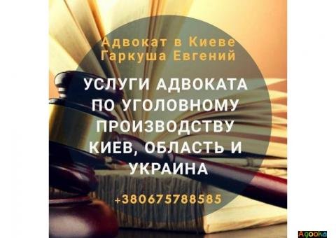 Адвокат в Києві. Юридичні послуги Київ.