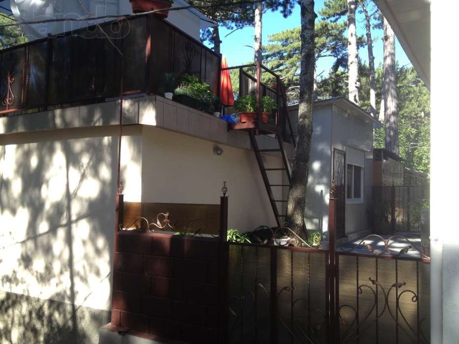 Эксклюзивная в Ялтинском горно-лесном заповеднике