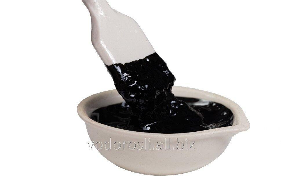 Медные производные хлорофилла (МПХ) паста - 1 кг (из Ламинарии)