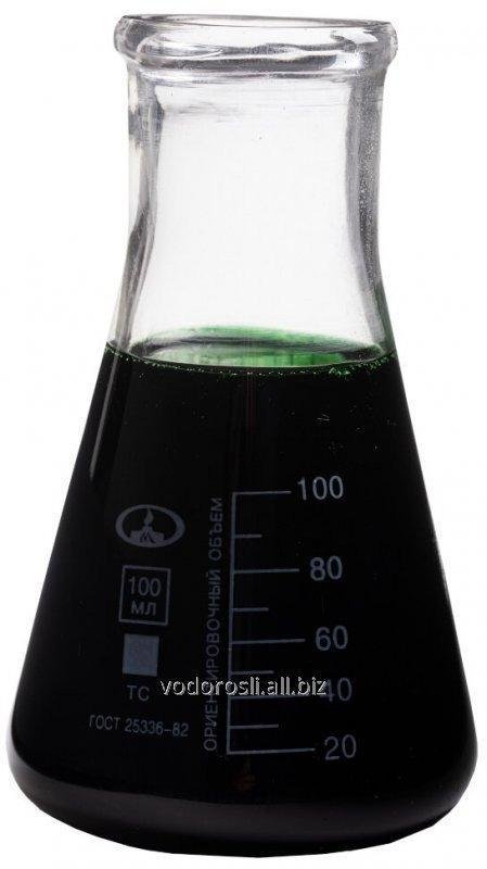 Медные производные хлорофилла, масляный раствор - 1 л (из Ламинарии)