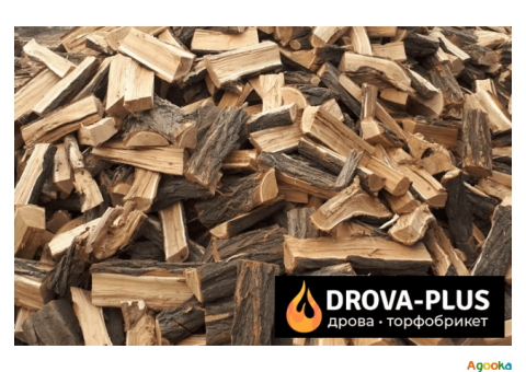 Дрова дуб купити в Ківерцях Drova-plus