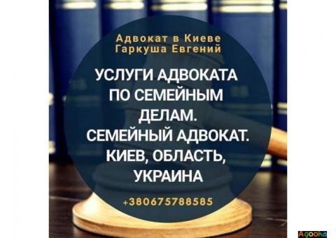 Адвокат по семейным делам в Киеве. Взыскание алиментов. Раздел имущества.