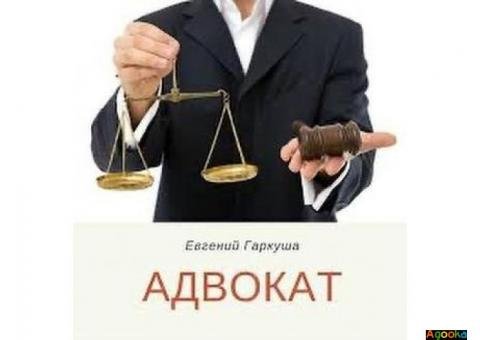 Адвокат в Киеве по семейным делам. Раздел имущества. Взыскание алиментов.