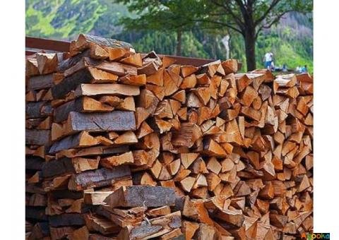 Продам дрова твердих порід дерева