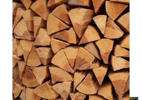 Продам дрова твердих порід дерева