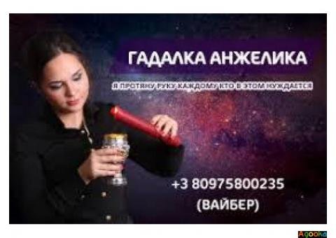 Гадалка Житомир Анжелика Вишневская.