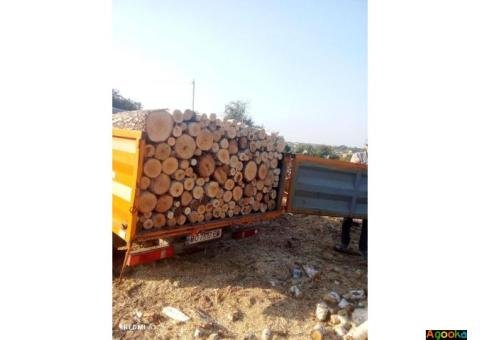 дрова одесса, дрова одесса и область