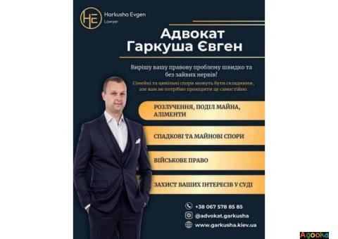 Юридична допомога у Києві: сімейні, цивільні та військові справи.