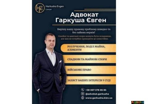 Адвокат із військового права: мобілізація, звільнення, соцгарантії.