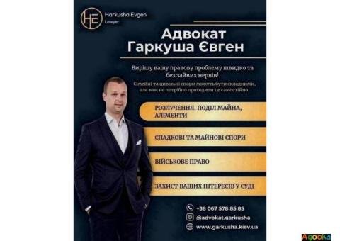 Сімейний адвокат у Києві – консультація та супровід.