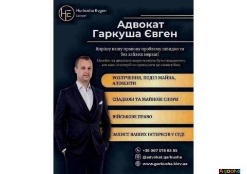 Консультація адвоката в Києві — швидко, конфіденційно, професійно.