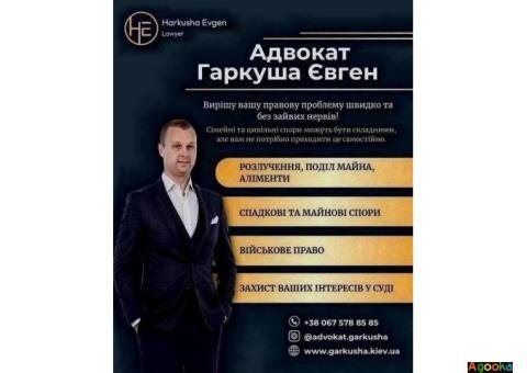 Надійна юридична підтримка: від розлучення до військової служби.