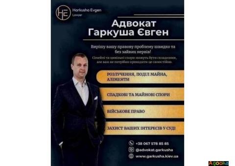 Консультація адвоката в Києві – швидко та конфіденційно.