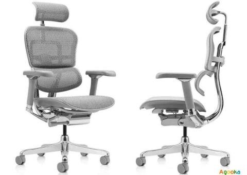 Современное кресло компьютерное Ergohuman Luxury 2 Grey