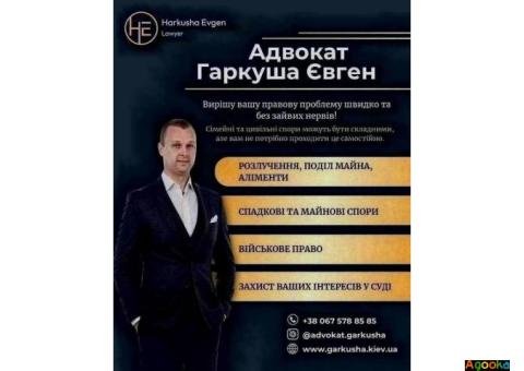 Допомога адвоката Київ.