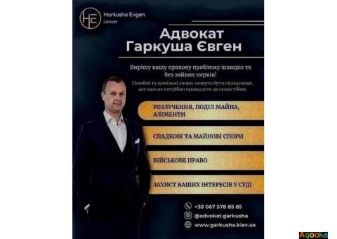 Потрібен адвокат у Києві? Професійна допомога поруч!