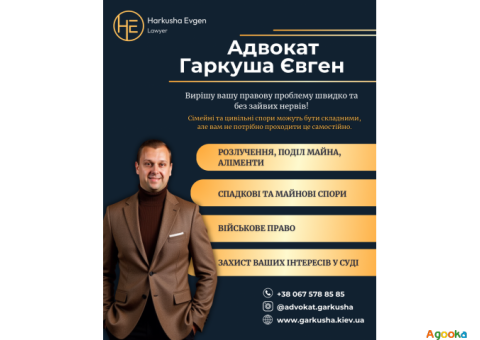 Послуги адвоката у Києві — сімейні, цивільні, військові справи.