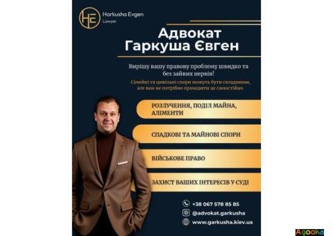 Адвокат у Києві — сімейне та військове право.