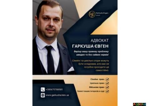 Сімейний адвокат у Києві: розлучення, аліменти, поділ майна.