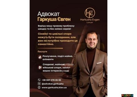 Адвокат Євген Гаркуша: професійна правова допомога у Києві.