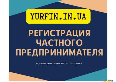 Регистрация ФЛП в Днепре (по Украине) за 1 день