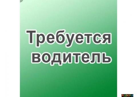 Вакансія для водіїв категорії СЕ Київ.