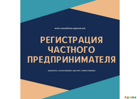 Регистрация ФЛП в Днепре (по Украине) за 1 день