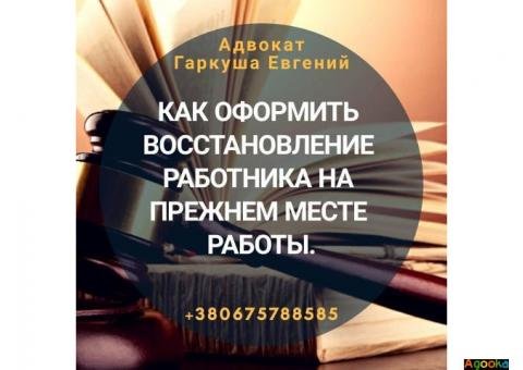 Юрист в Києві.  Юридичні консультації.