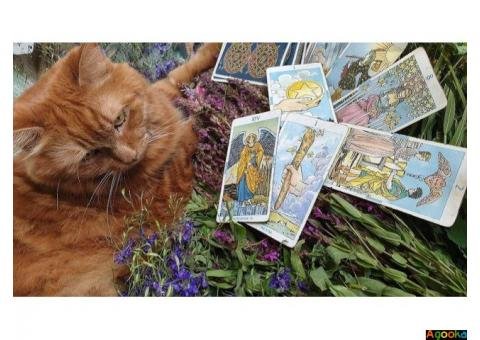 Гадание Таро. Магические услуги. Привороты. Отвороты. Снятие негатива.