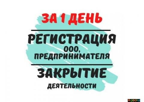 Регистрация ООО, ФЛП, ЧП (за 1 день) Ликвидация деятельности.