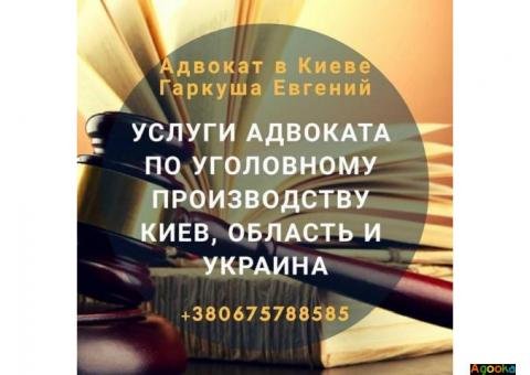 Помощь адвоката по уголовным делам Киев и область.